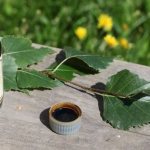 10 useful ways to use ordinary tar in the garden