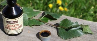 10 useful ways to use ordinary tar in the garden