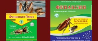 phenaxin plus cockroach repellent