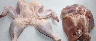 Chicken fillet and skin