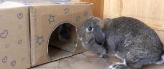 It is necessary to select a box according to the size of the rabbit. E 