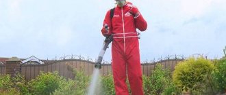 Spraying the lawn with insecticide