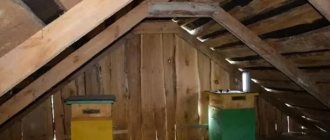 apiary in the attic