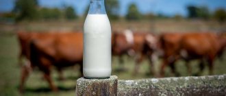 Пастеризация молока дома