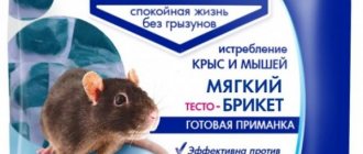 “Clean House” products against rats and mice