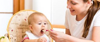 Introducing rabbit meat into complementary feeding for infants: basic rules, easy step-by-step recipes for cooking